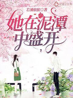 组装机械警暴龙2